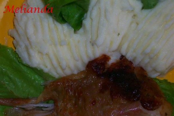 Friptura Aromata de Curcan