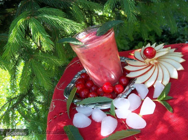 Smoothie cu Mar si Visine